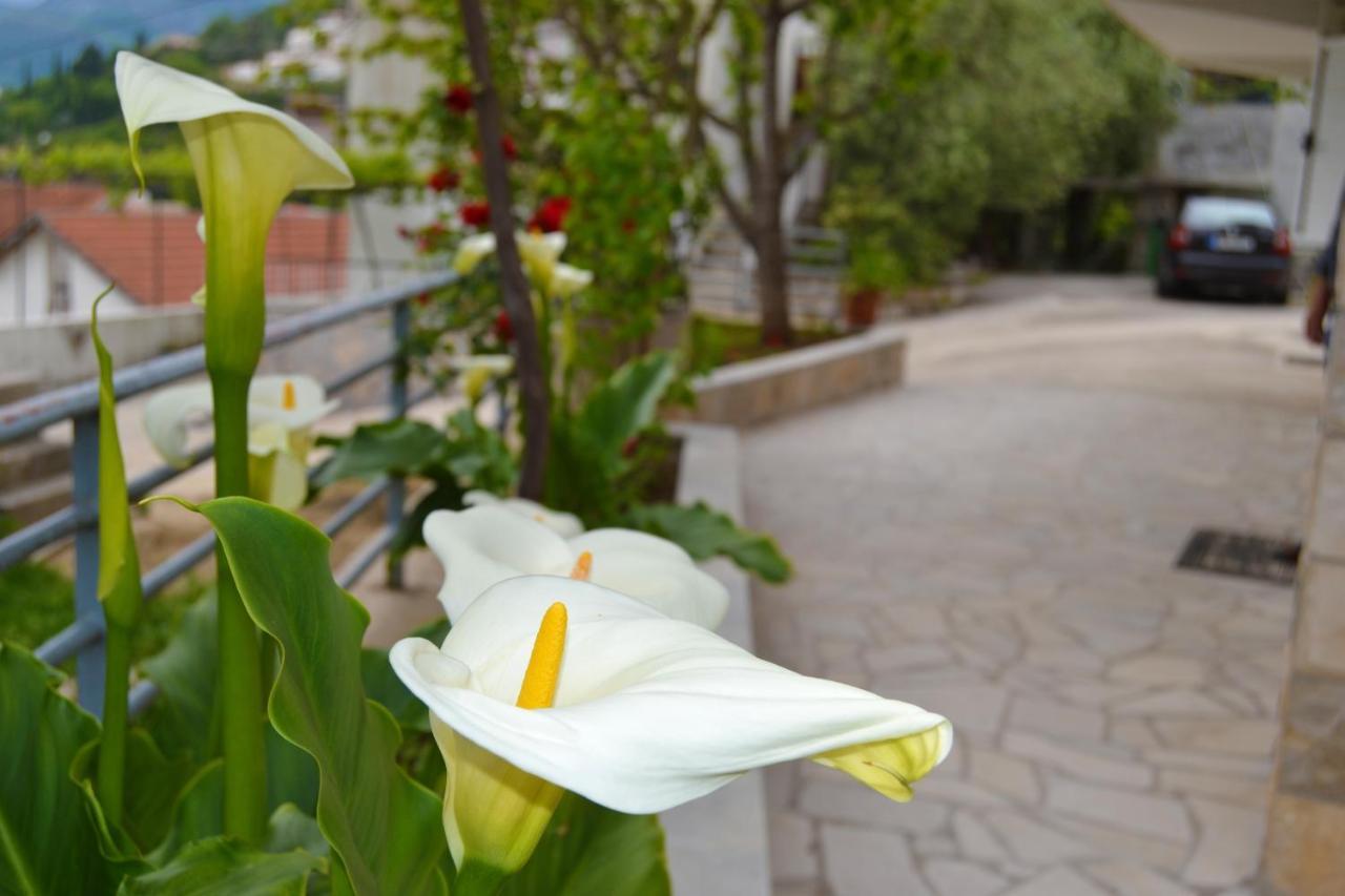 Tivat Apartments Екстер'єр фото